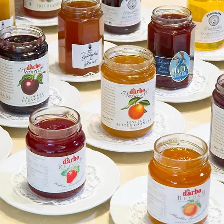 Maximilian - Stadthaus Penz Hotell Innsbruck